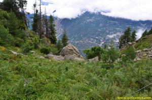 Dense flora on the way to Giri Camps