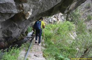 Trailing through forests near Giri Camps